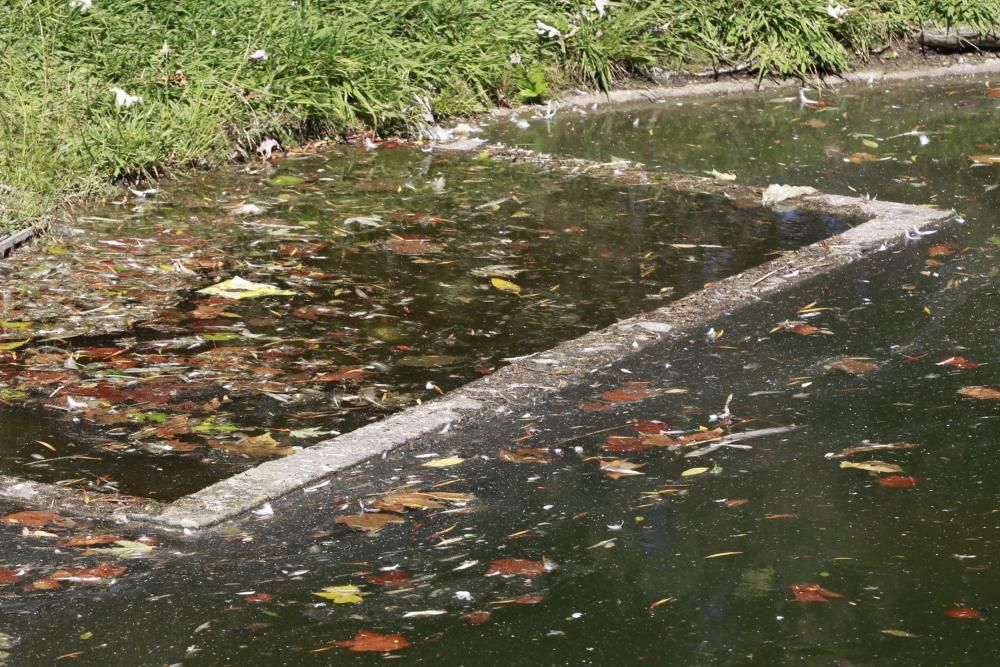 El estanque de Castrelos se vacía para una desinfección - Los trabajos arrancan el día 30 y durarán una semana