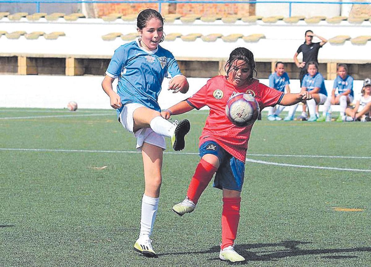 Imagen 380886099 717313520430116 9089147064570815673 n