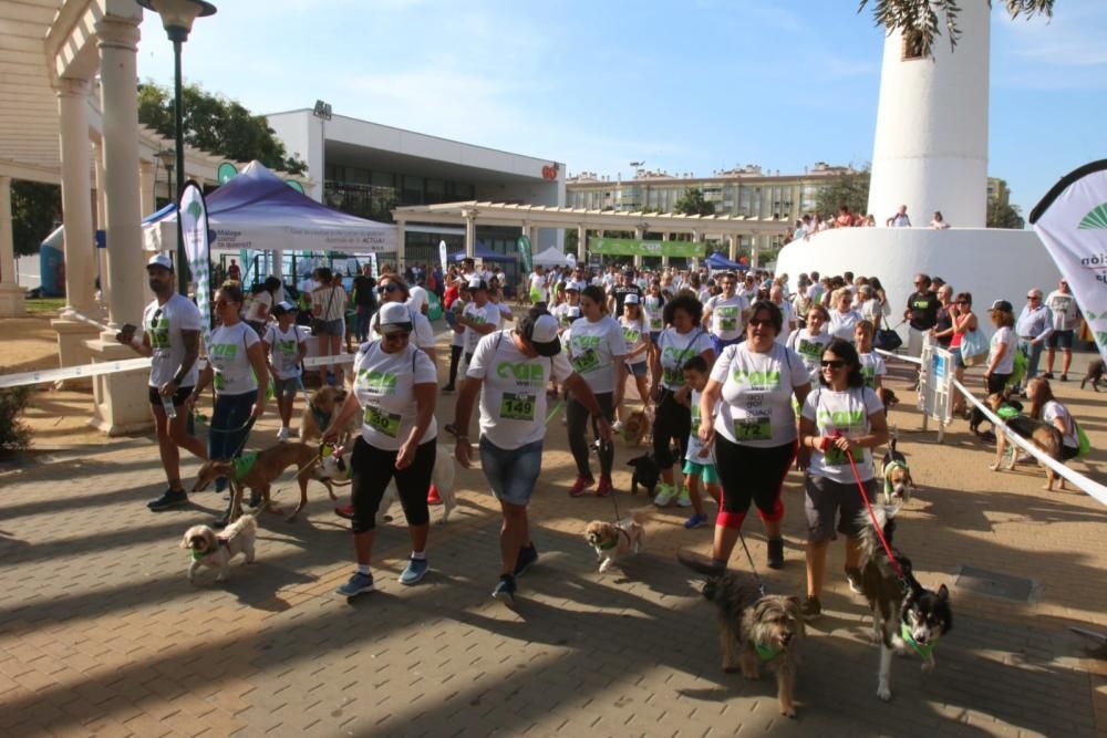 El Parque Huelin ha acogido la primera edición de un evento destinado a las mascotas y a sus dueños, con carreras en diversas categorías, actividades gratuitas y numerosos stands