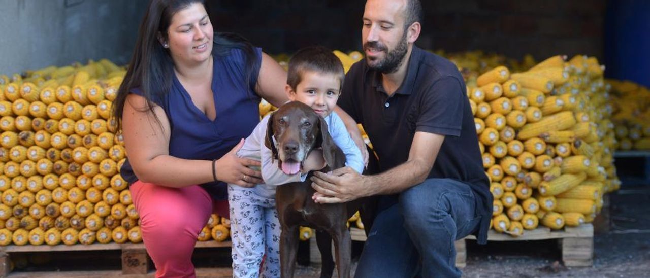 Así entrena Brus, el perro policía que se jubila en Galicia