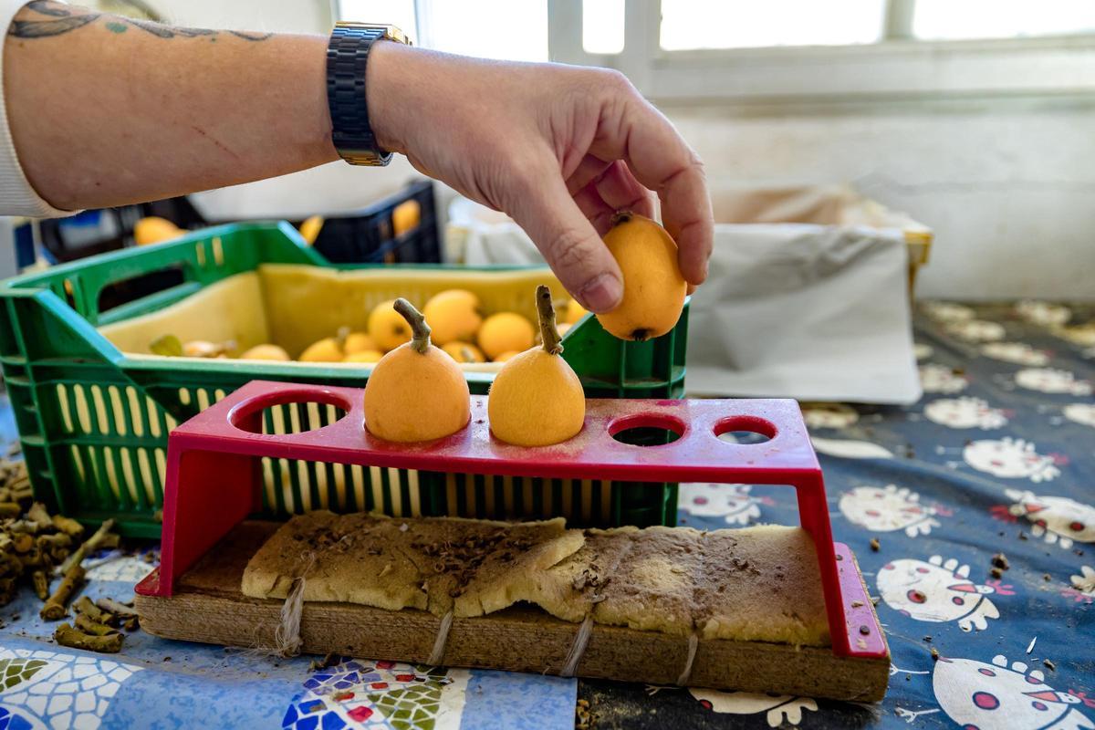 La falta de lluvias hará que el calibre de la mayoría de frutos sea menor que en otras campañas, pero los agricultores destacan que tienen más dulzor.