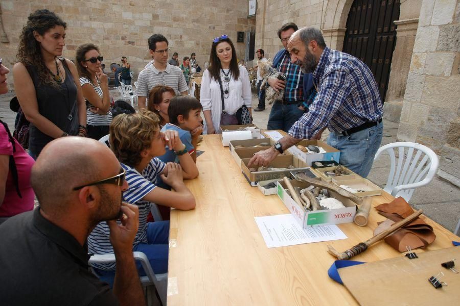 Talleres en el Museo de Zamora