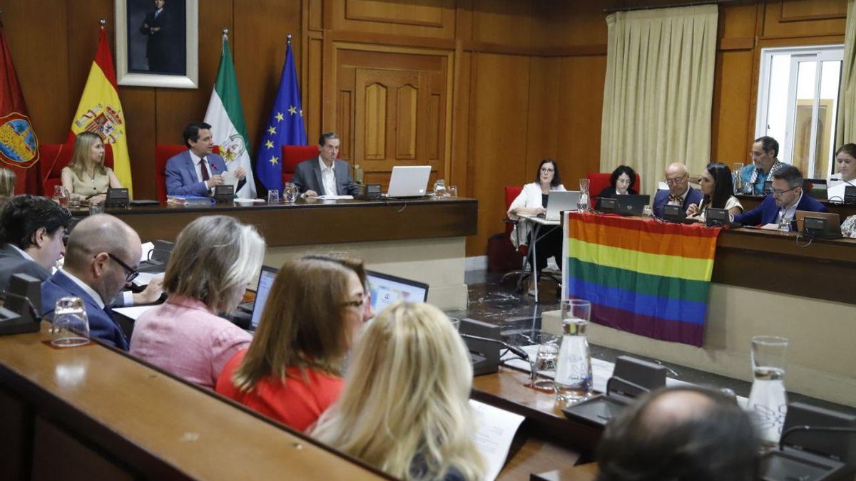 Bandera Lgtbi colocada frente a la bancada socialist en el pasado pleno.