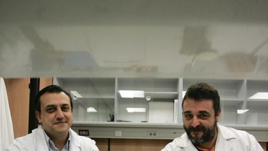 Miguel Ángel Fernández y Guillermo Nieto, en su laboratorio.