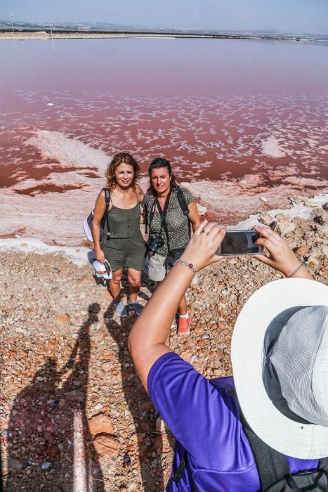 En torno a medio centenar de turistas estrenaron las visitas guiadas a las salinas de Torrevieja, que pretenden normalizarse el verano que viene