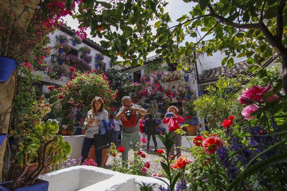 Los patios ganadores en imágenes