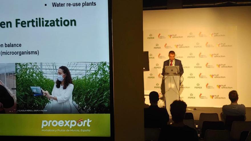 Proexport representará a la agricultura sostenible murciana en Biofruit Congress