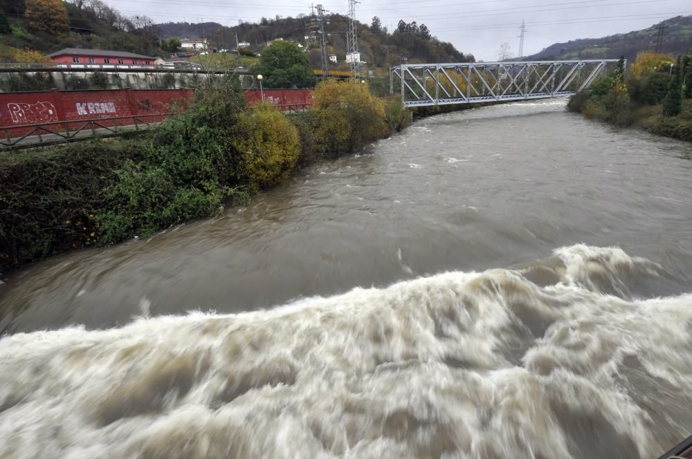 El Río Nalón, crecido, a la altura de Sama