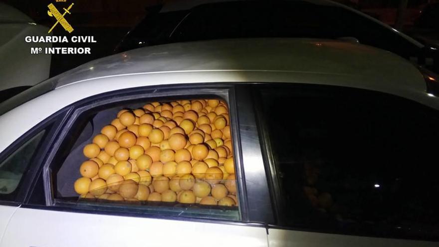 Delitos Roban de varias fincas más de mil kilos de naranjas