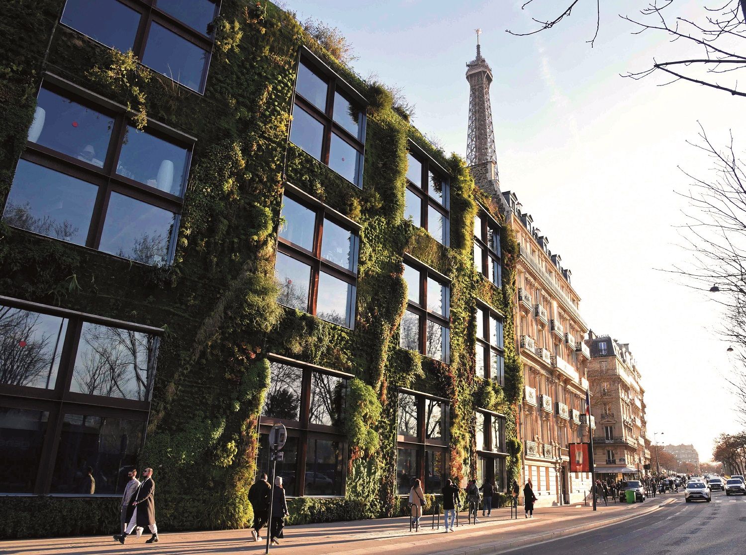 Vista de la torre Eiffel desde el Museo du Quai Branly.