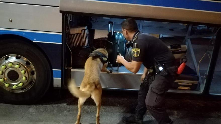 Un agente junto a un perro de la Unidad Canina de la Policía Local de Elche