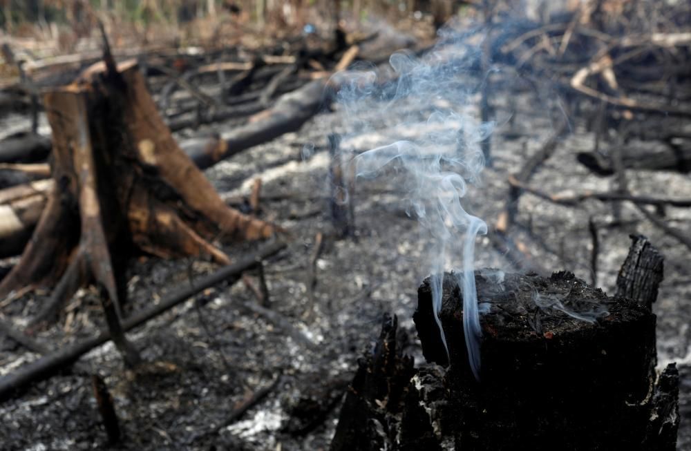 Rècord d'incendis a l'Amazones