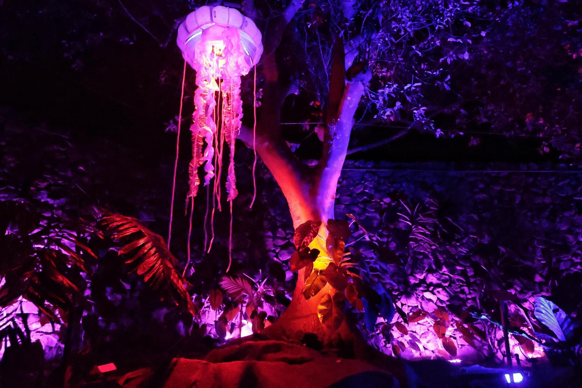 Montaje de Naturaleza Encendida en el Palmetum