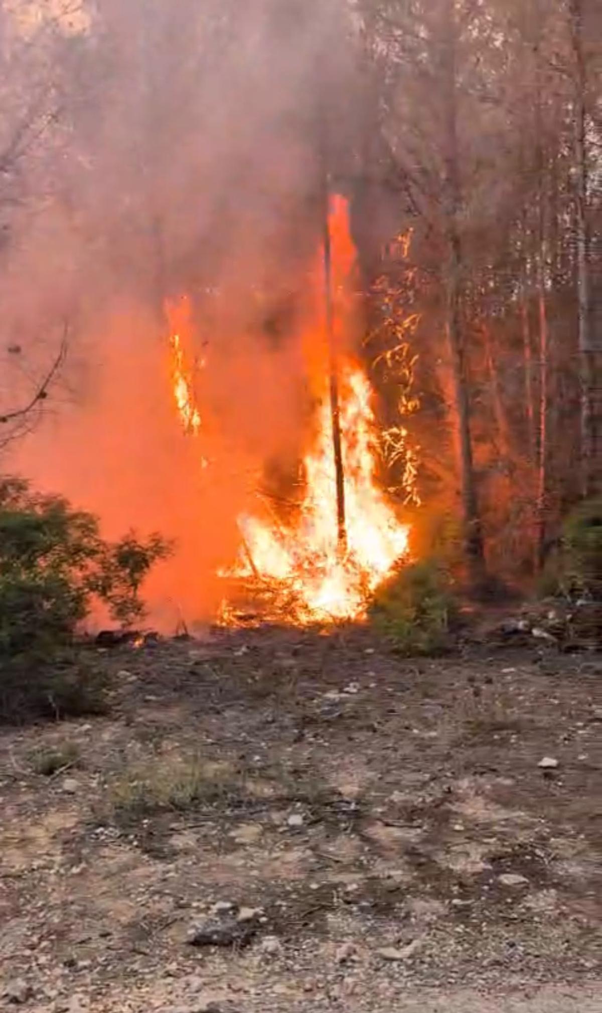 Las llamas del incendio que se ha declarado esta tarde en Xàbia