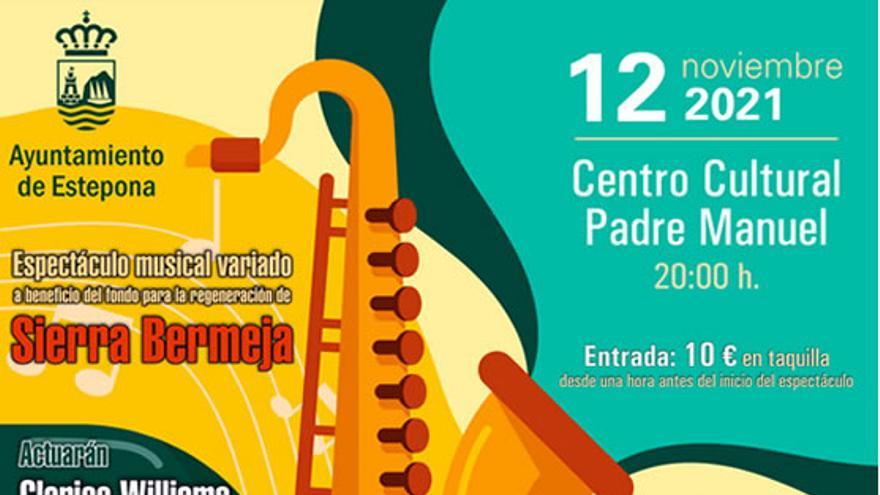 Show solidario. Juntos por Estepona