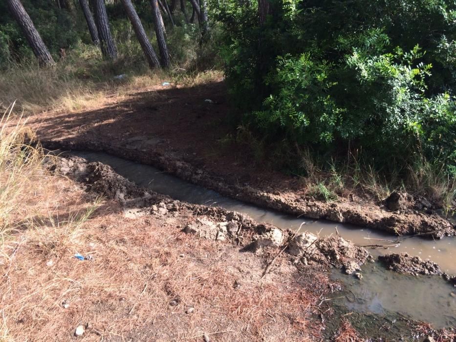 Un río de aguas mal depuradas acaba en la playa des Capellans