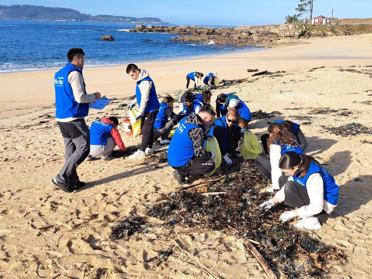 La limpieza de la playa de Area de Bon, en Bueu, en imágenes (II)
