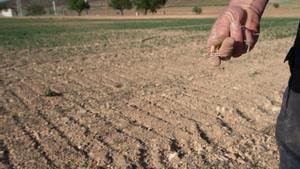 Un agricultor muestra la tierra seca en Murcia