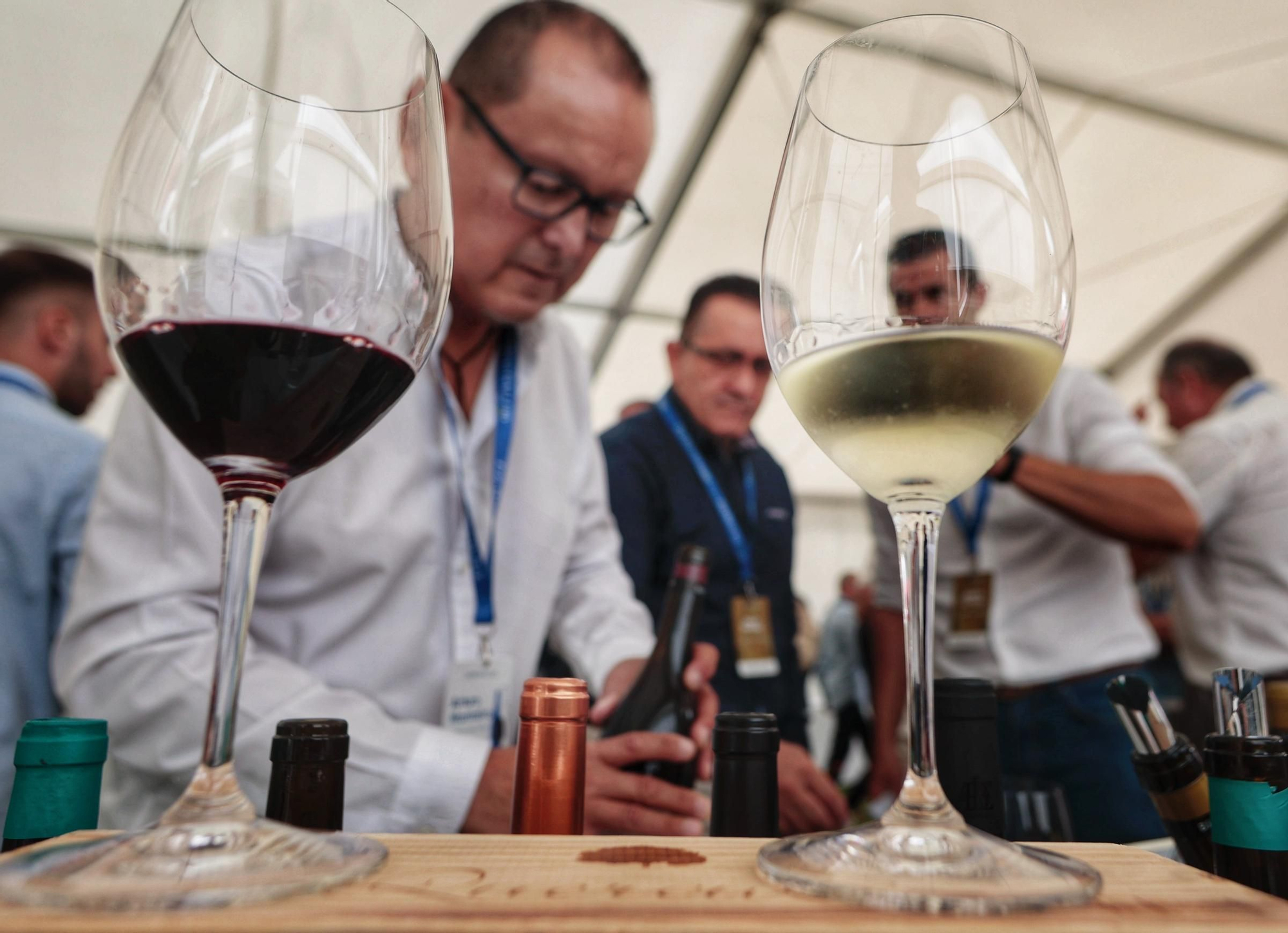 Primera jornada de The Wine Gallery