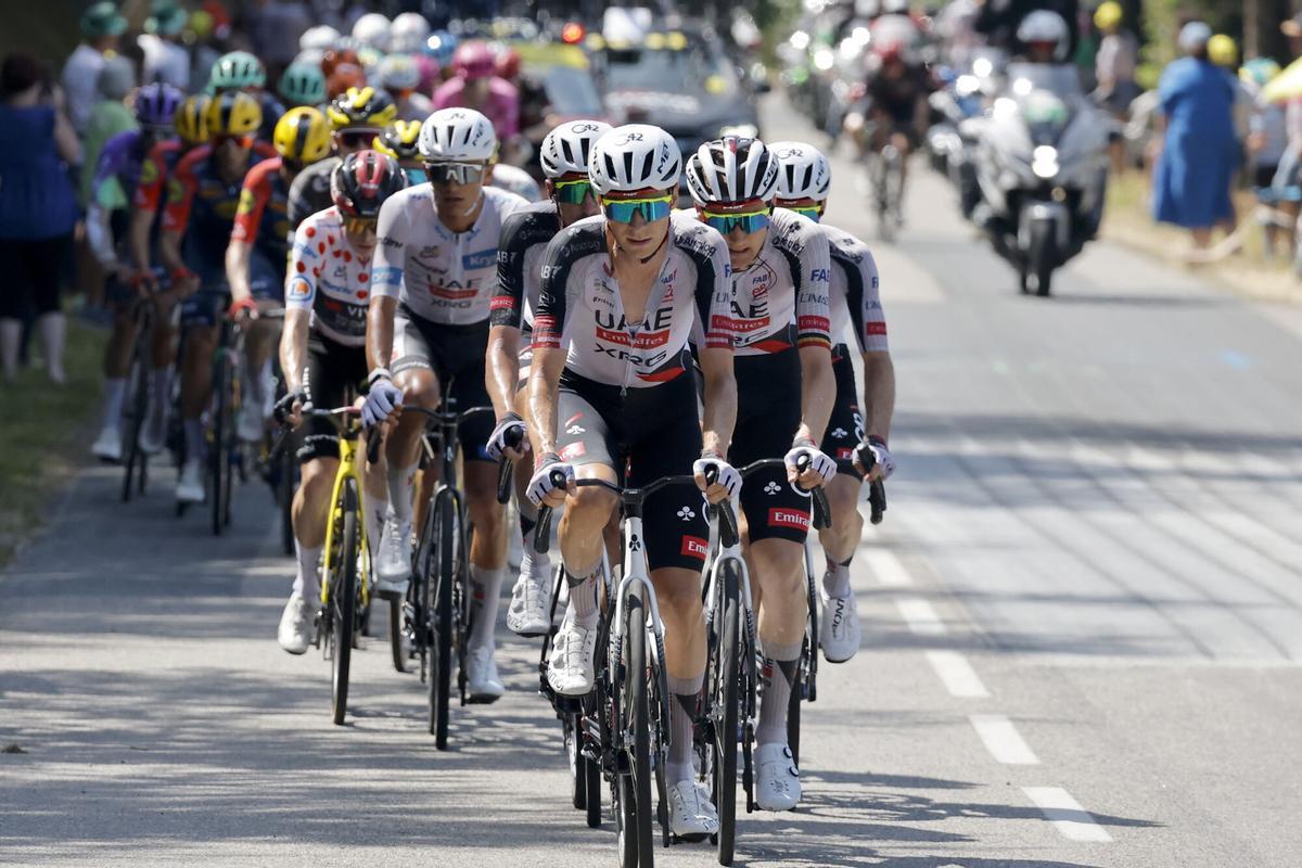 Pelotón de ciclistas durante la novena etapa del Tour de Francia.