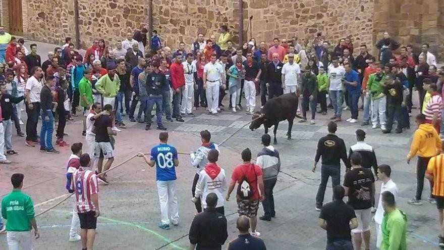 El torito del alba llegando a la plaza de la Madera, junto a la iglesia de Santa María.