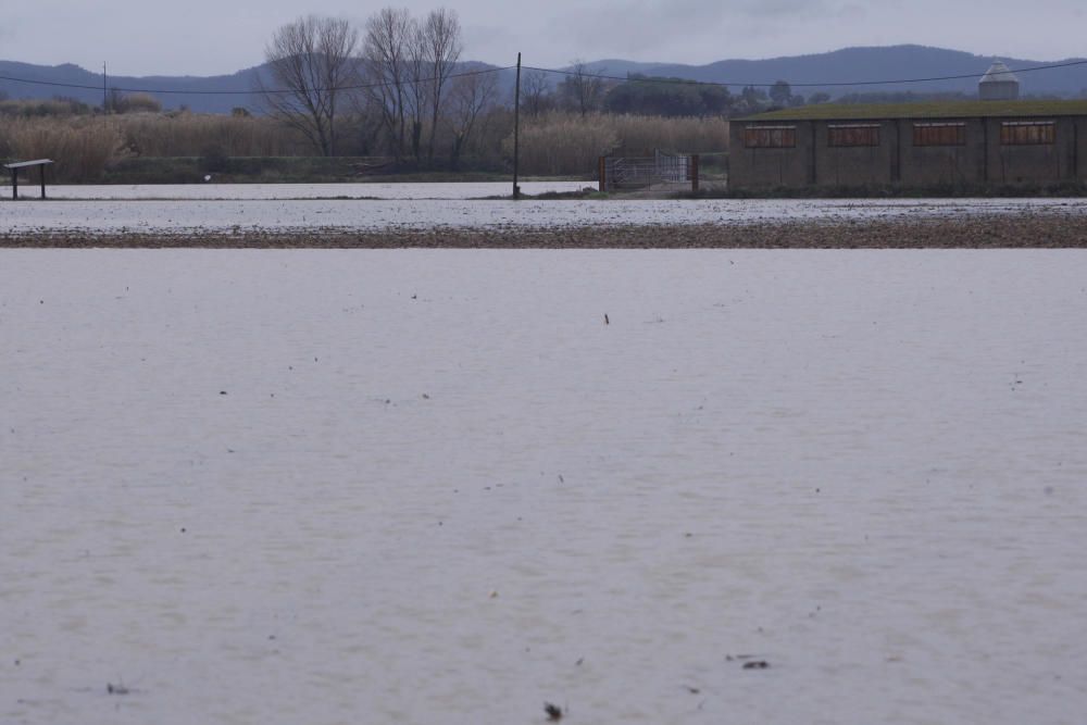 Dilluns de temporal