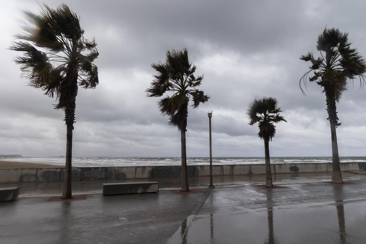 El tiempo en Valencia: rachas muy fuertes de viento para esta tarde, según el pronóstico de la Aemet.