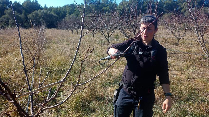 Les Escoles Agràries posen en marxa un projecte de mentoria per assessorar joves amb iniciatives viables en el sector agropecuari