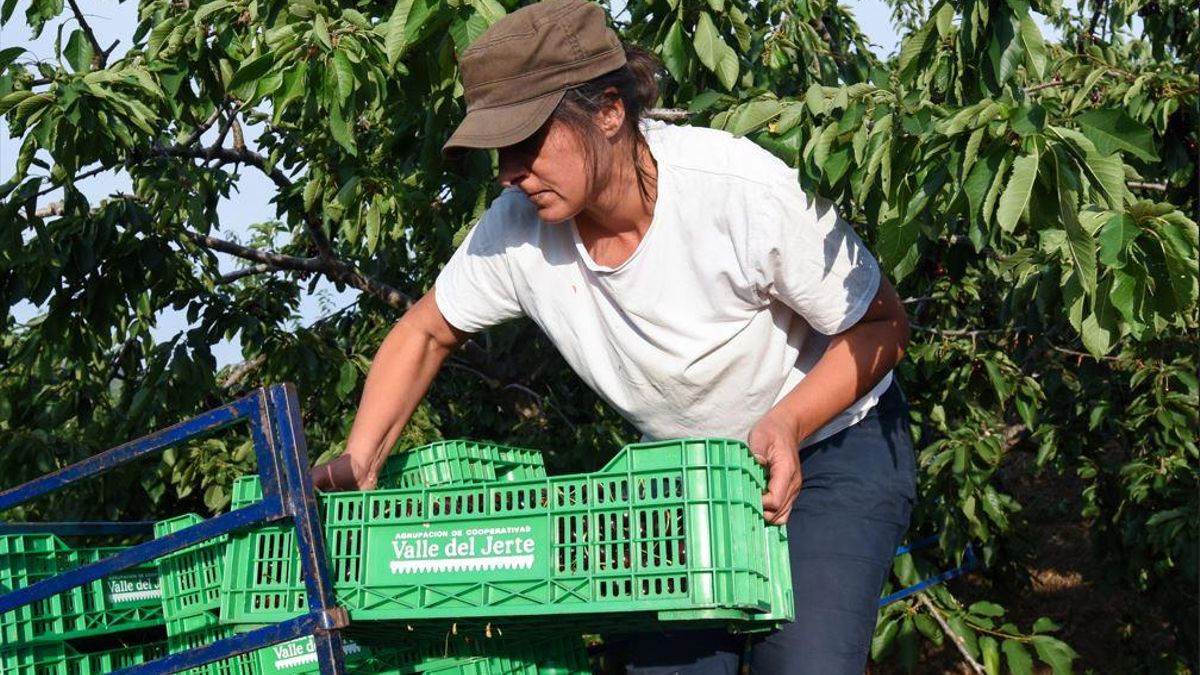 Una agricultora en una fotografia d'arxiu.