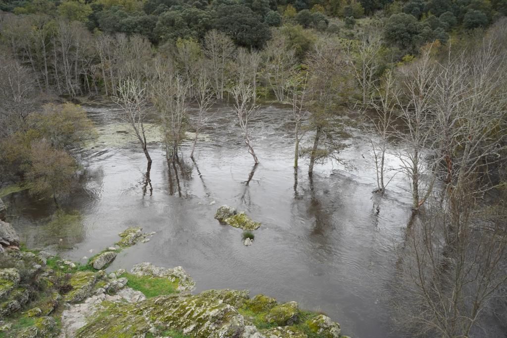 GALERÍA | Las impresionantes imágenes de la suelta artificial de caudal desde la presa de Almendra