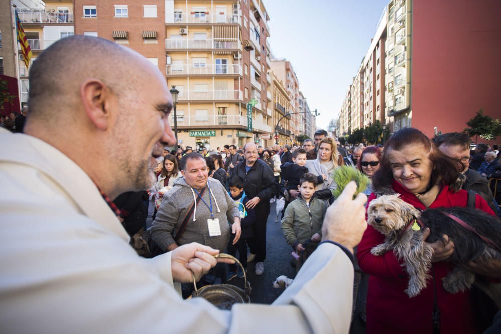 Bendición de animales por Sant Antoni del Porquet