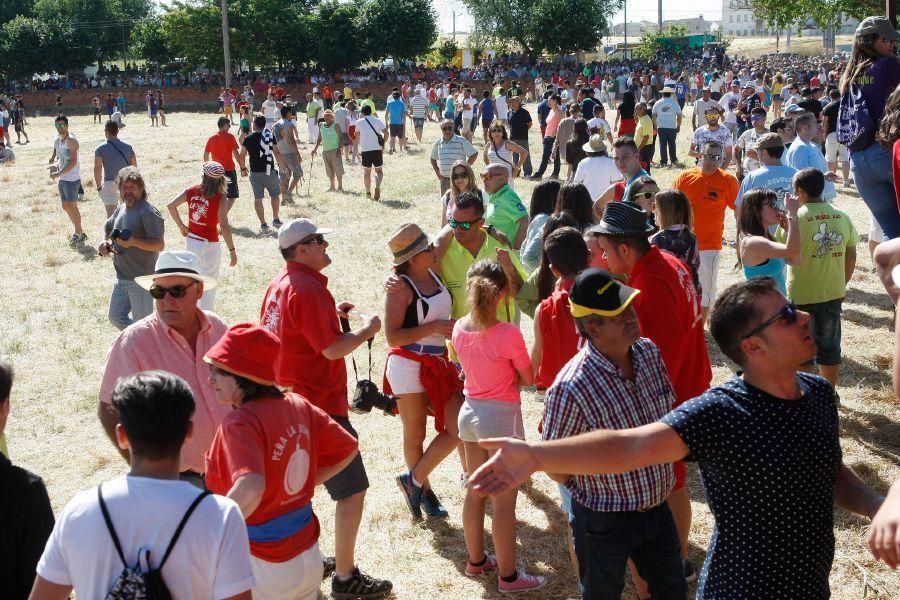 Fiestas en Zamora: Segudos espantes de Fuentesaúco