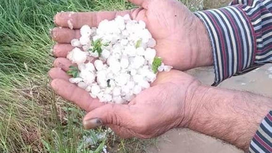 Un agricultor muestra el tamaño del granizo que cayó en Toro.