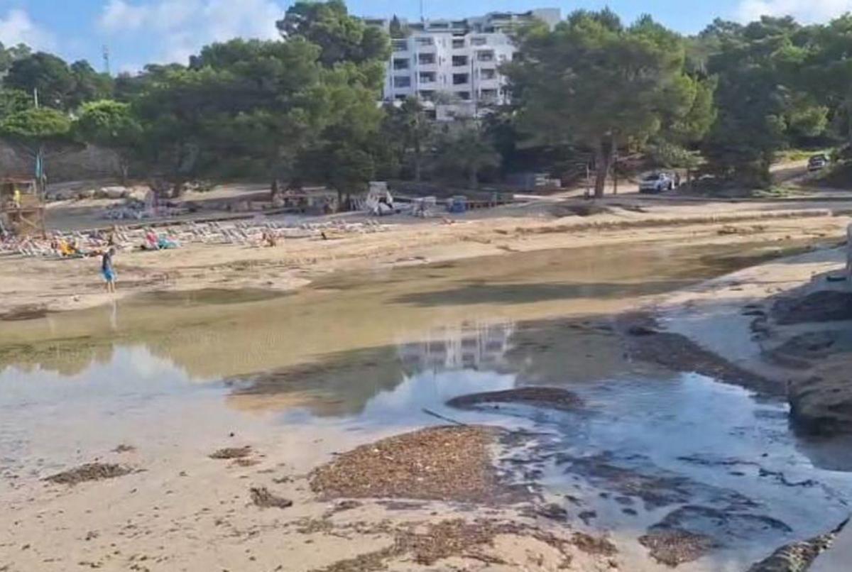 Un mes para recuperar Portinatx