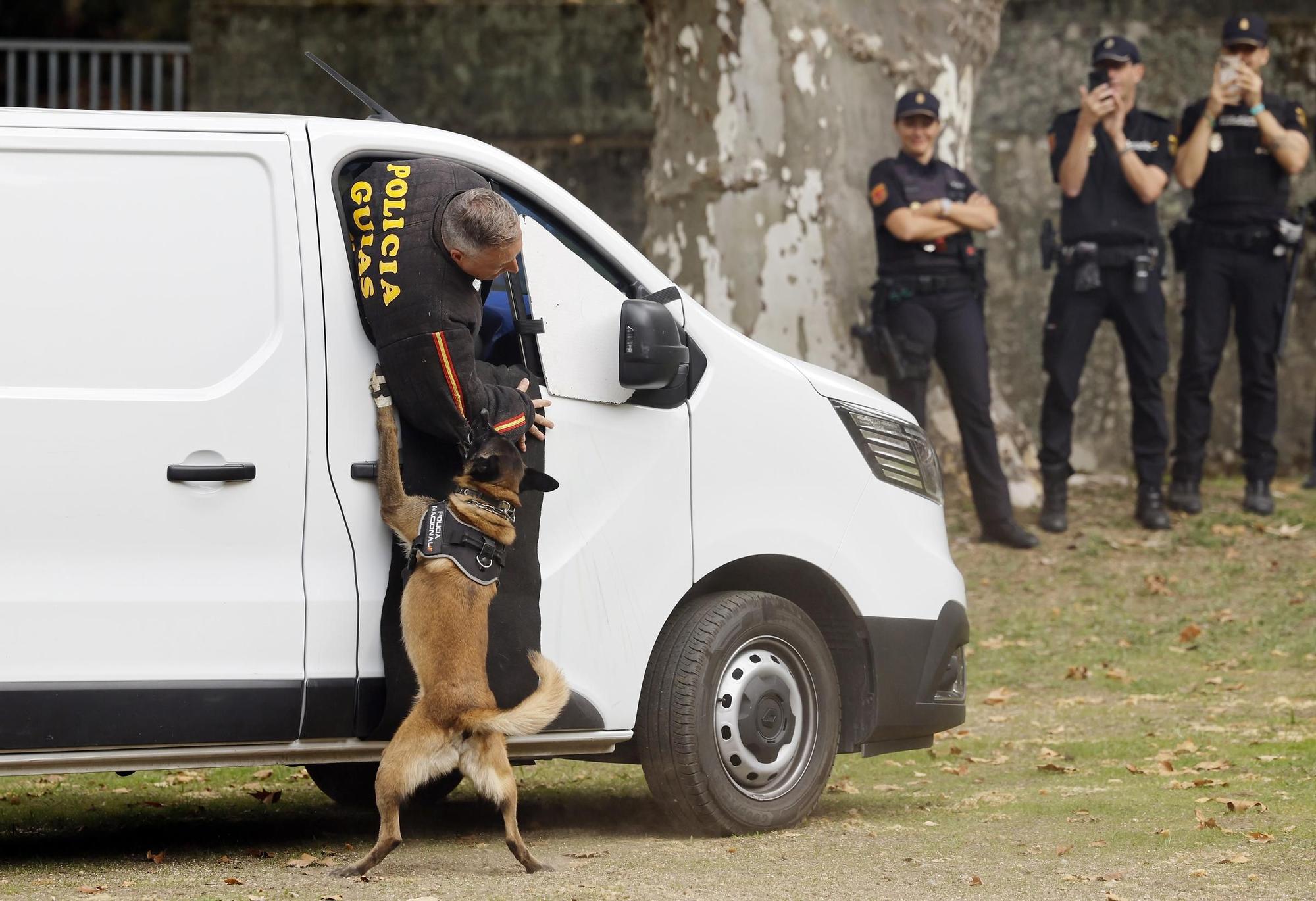 Exhibición de la Policía Nacional en el auditorio de Castrelos en Vigo