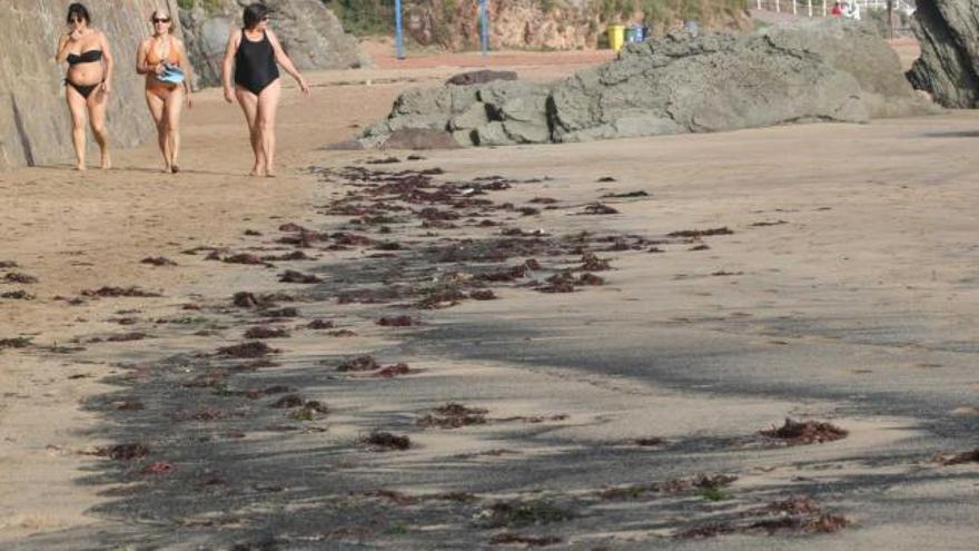 El carbón llega a la playa de Palmera, en Candás