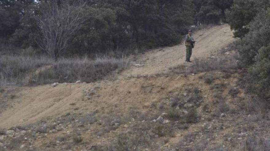 El paso de las motos ha dibujado enormes «autopistas».