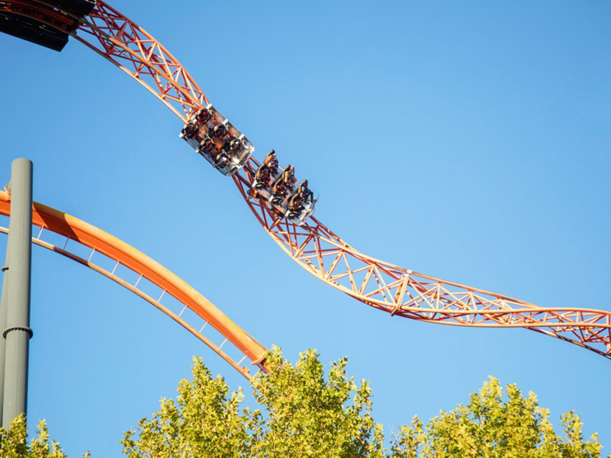 Descubre Patrulla Canina  Parque de Atracciones de Madrid