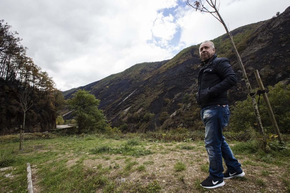 Desolación en el suroccidente asturiano tras los incendios