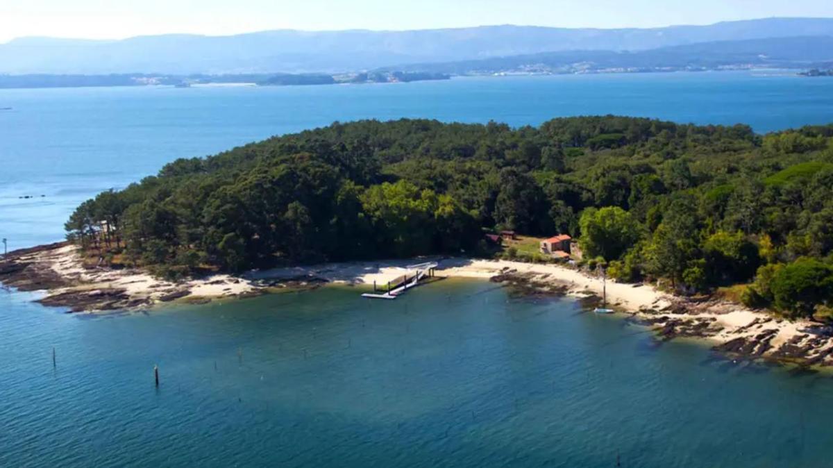 La isla de Cortegada, hogar del bosque de laureles más grande de Europa