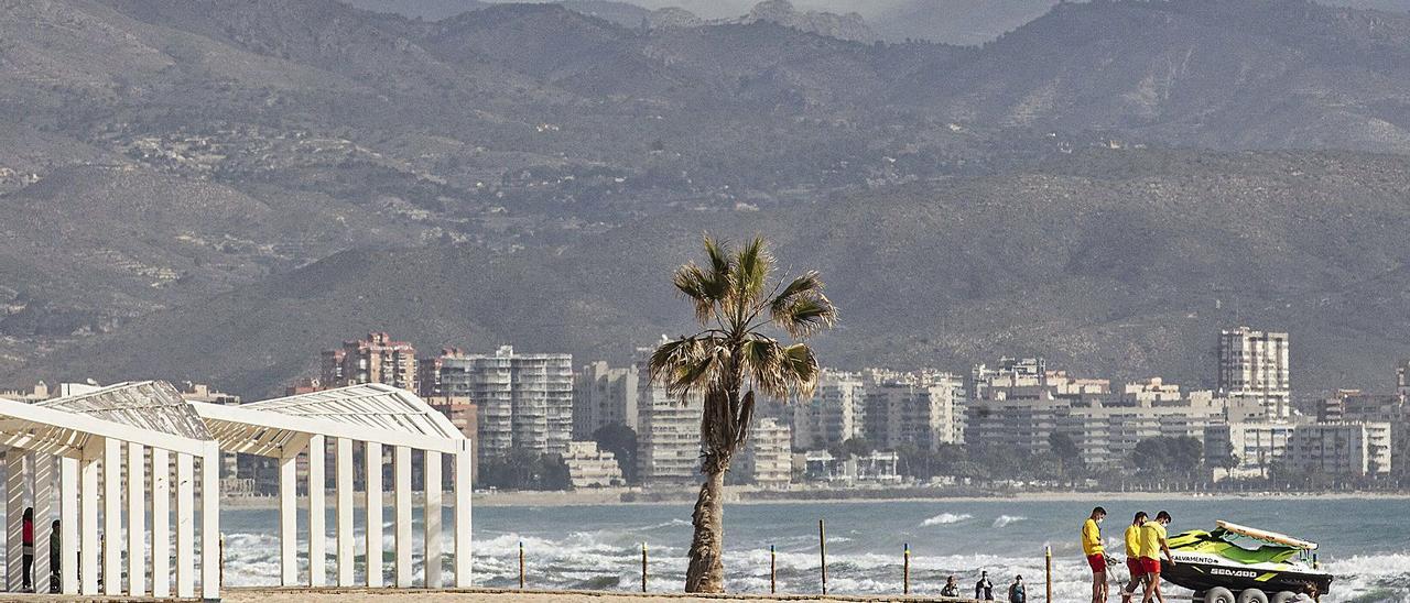 La playa de San Juan, en una imagen de ayer, con servicio de salvamento y postes que delimitan la zona de paseo.  | ALEX DOMÍNGUEZ