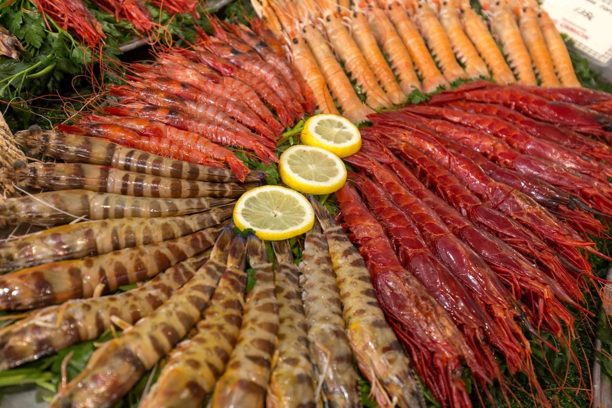 Este año, la variada y completa gastronomía de Alicante presenta los platos al mundo.