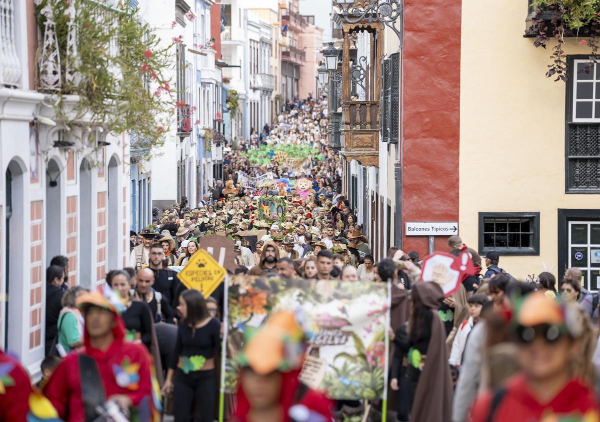 Coso Escolar Santa Cruz de La Palma