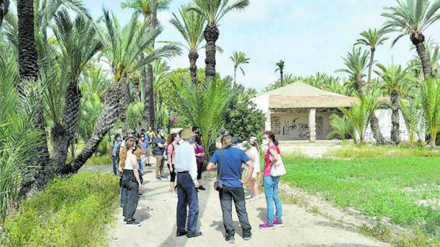 La tradicional vivienda está en pleno Palmeral histórico de Elche, protegido por la Unesco.