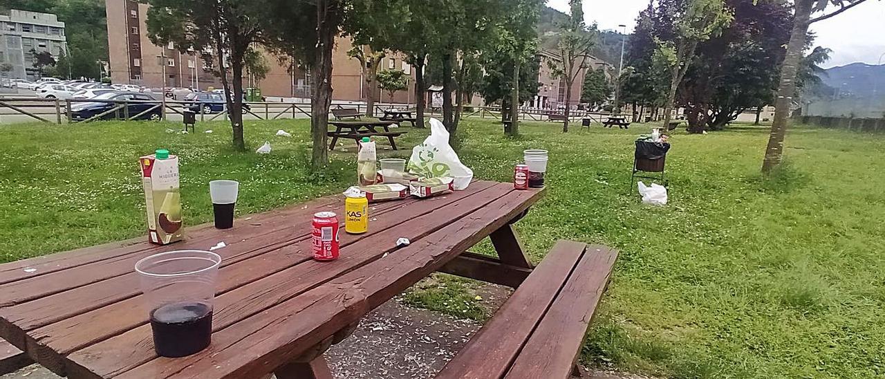 Restos de un botellón en el área recreativa de Vega de Arriba, en Mieres. | D. M.