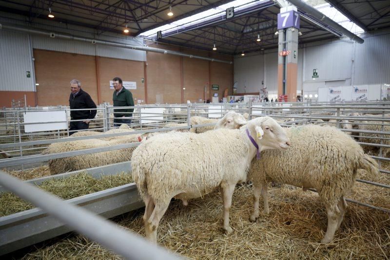 XIV Feria Internacional para la Producción Animal