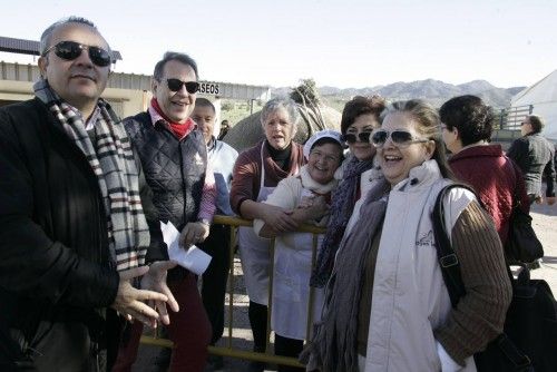 Cuadrillas en Lorca