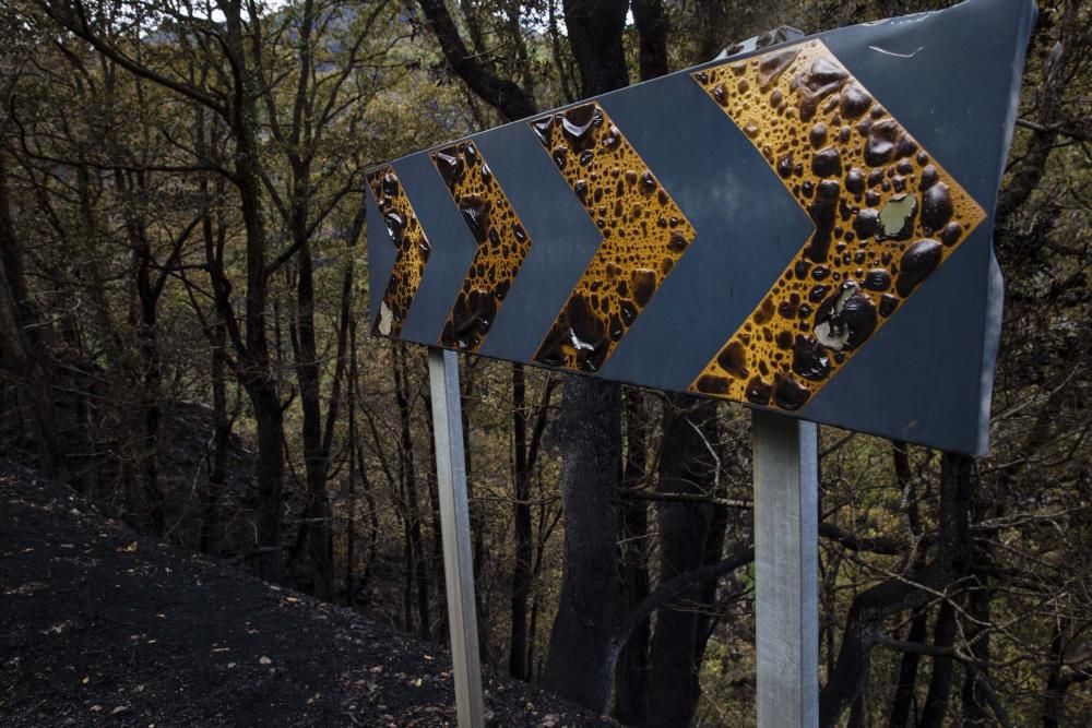 Desolación en el suroccidente asturiano tras los incendios