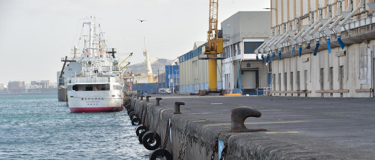 Un pesquero japonés permanece atracado en el Muelle Grande del Puerto de Las Palmas.