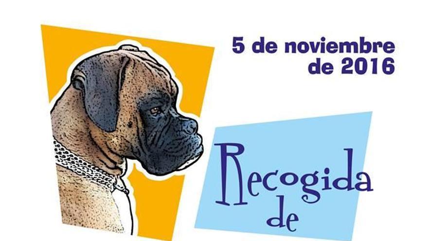 El Corte Inglés de Murcia organiza una recogida de pienso para mascotas